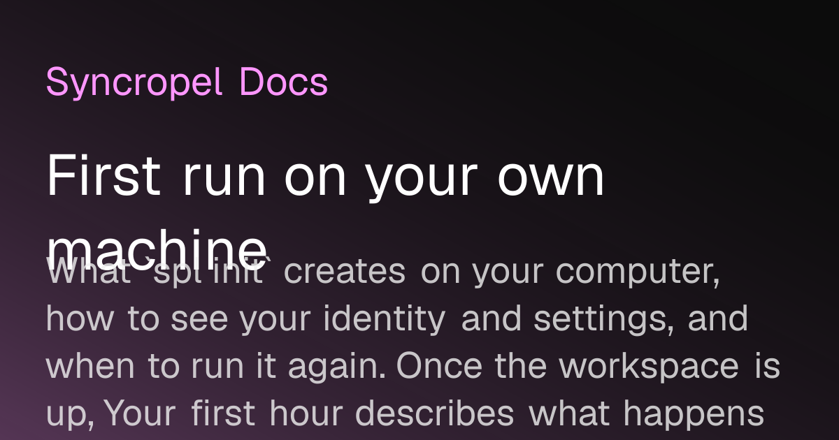 First run on your own machine | Syncropel Docs